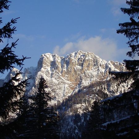 Residence Regina Delle Dolomiti Рока Пиеторе Екстериор снимка