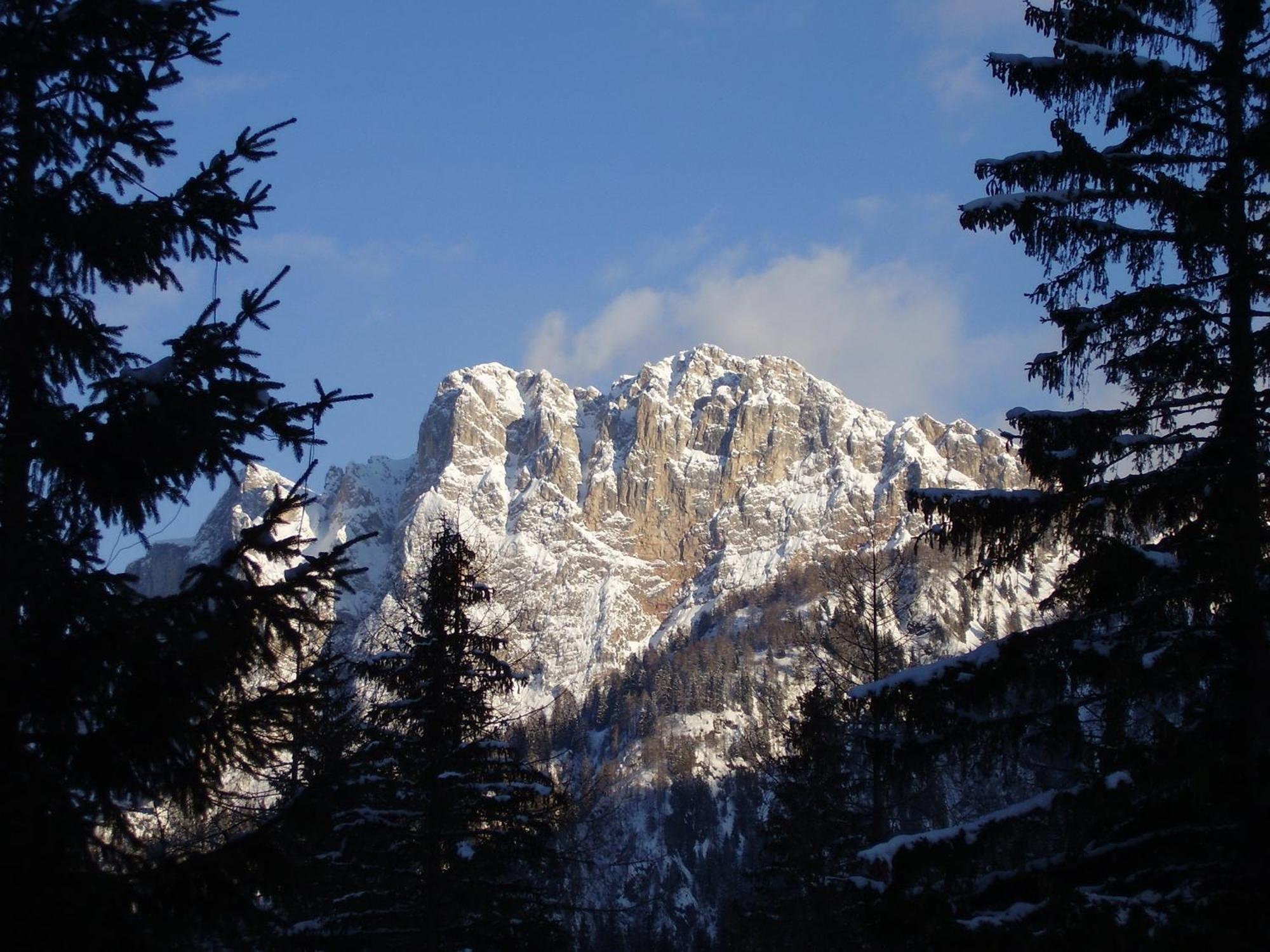 Residence Regina Delle Dolomiti Рока Пиеторе Екстериор снимка